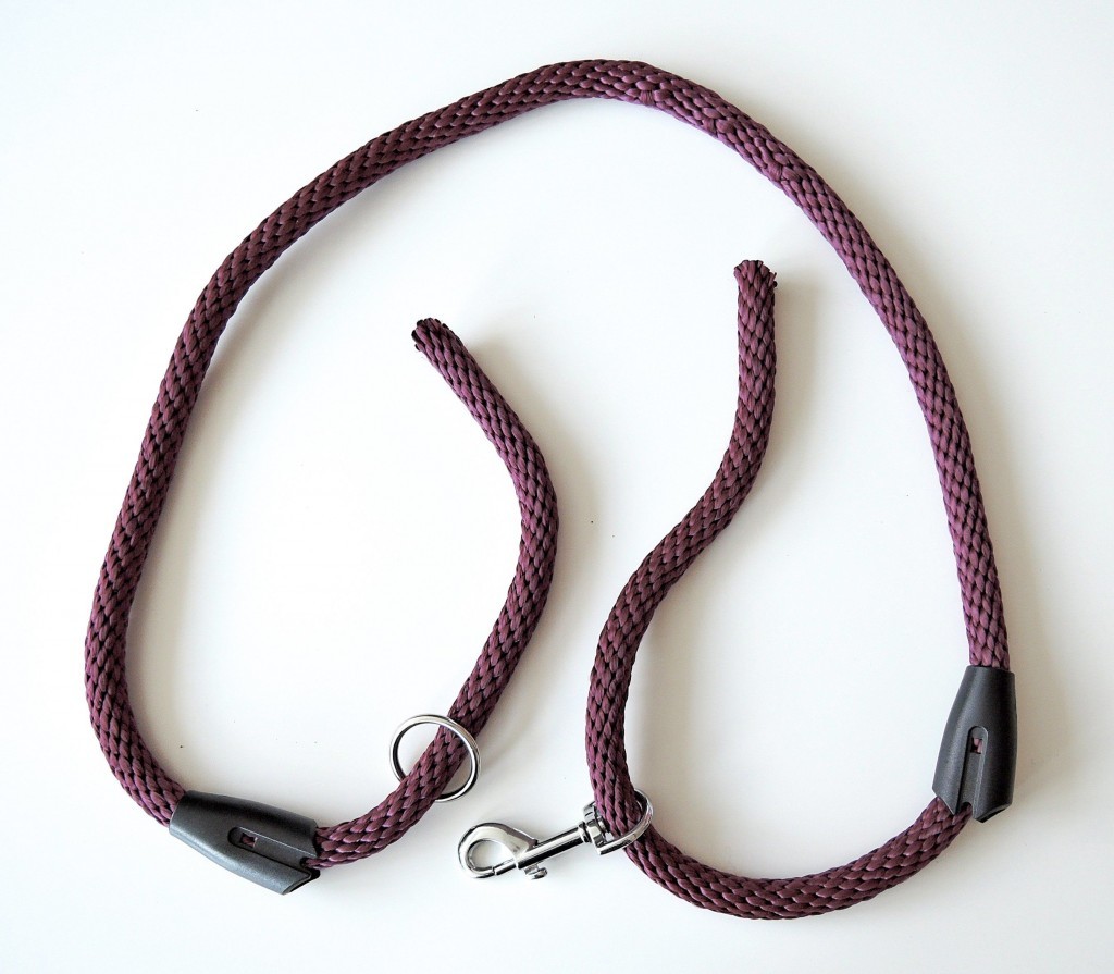 Leash with Plastic Clamps